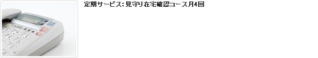見守り・在宅確認コース月4回